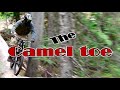 Mountain biking Blue River BC, Camel Toe