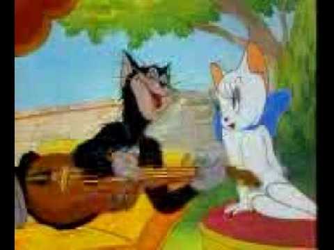 Tom and Jerry Singing Punjabi Song Kuddi