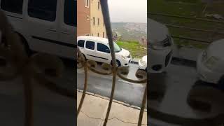 Kendi Mamasını Yemez Dışarıdakilere Göz Diker