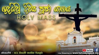 Morning Holy Mass - 30-06-2020