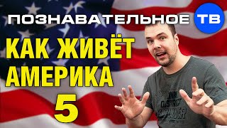 Как живёт Америка 5 (Познавательное ТВ, Тим Кёрби)