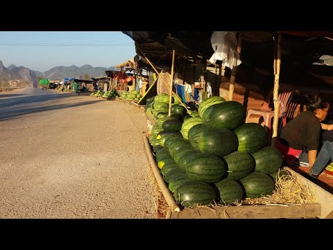 สอนออนทัวร์ ตลาดขายหมาก แตงโม ริมทางฝั่งลาว เมือง ท่าแขก, แขวง คำม่วน