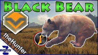 Diamond Black Bear Before Flinter Fail Call of the Wild