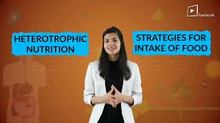Topic No 11. Heterotrophic Nutrition