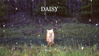 Watch Brand New Daisy video