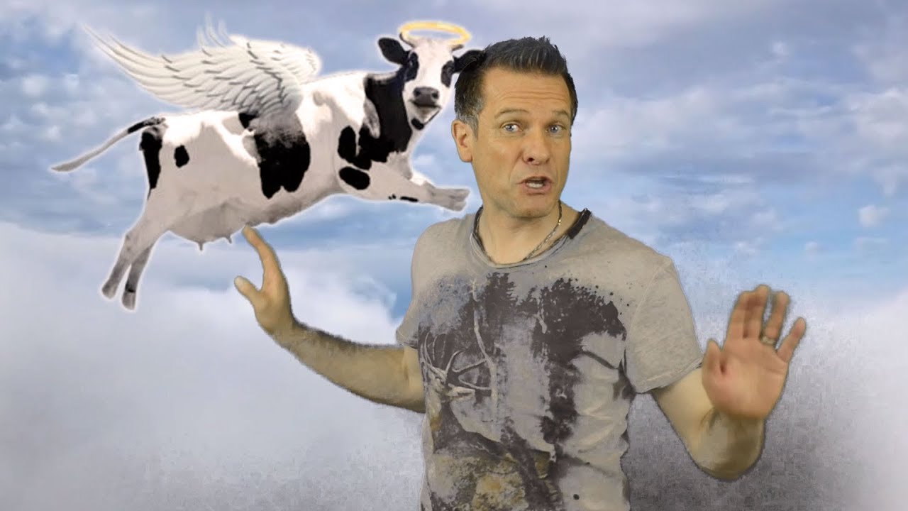 Wenn Kühe fliegen - Alpenraudis (offizielles Musikvideo)