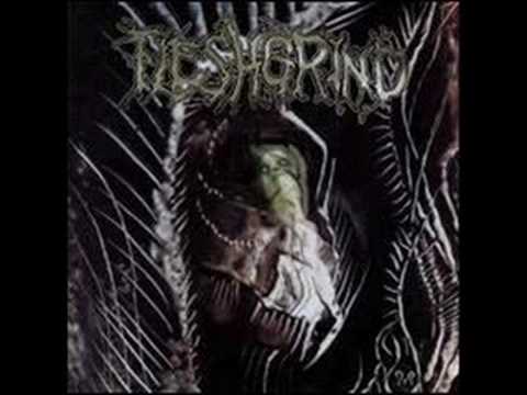 Disdain The Mournful Video