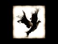 Black Dove Video preview
