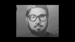 একনজরে মাওলানা মতিউর রহমান নিজামী একনজরে মাওলানা মতিউর রহমান নিজামী