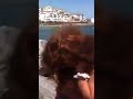 شرموطه عربيه بالبيكيني و تقول اوسخ كلام