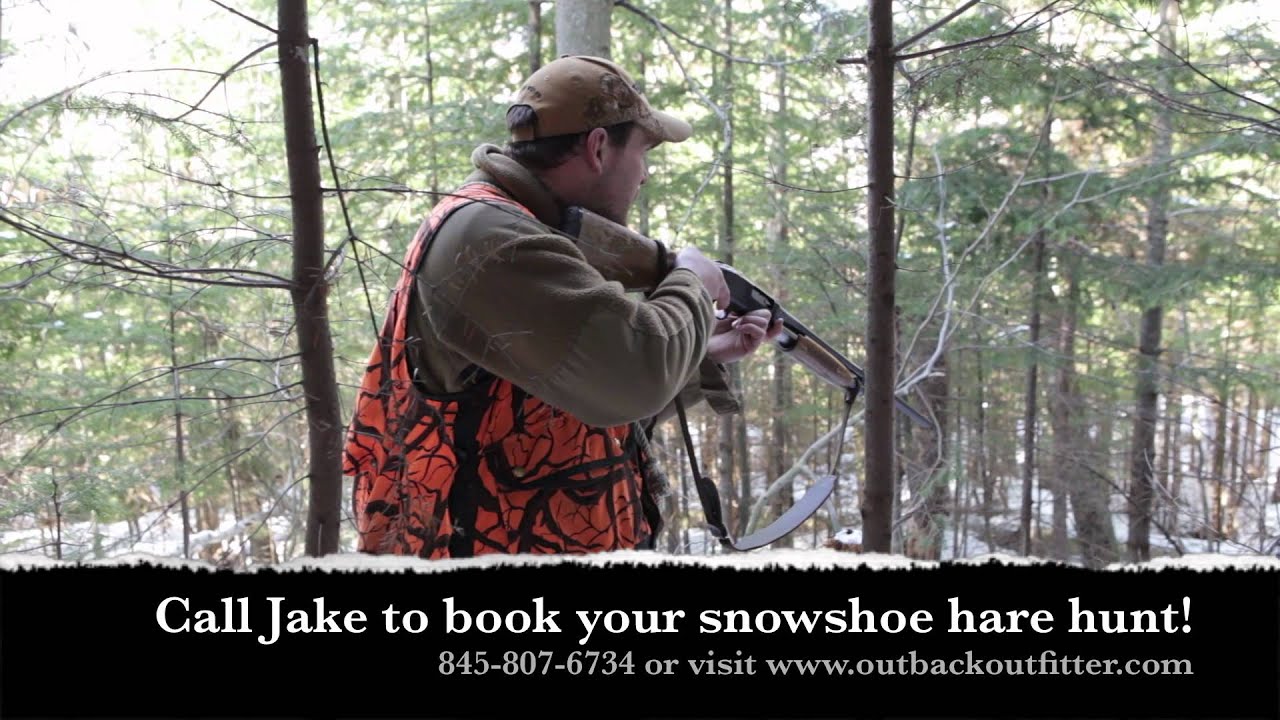 Snowshoe Hare Hunting with YouTube