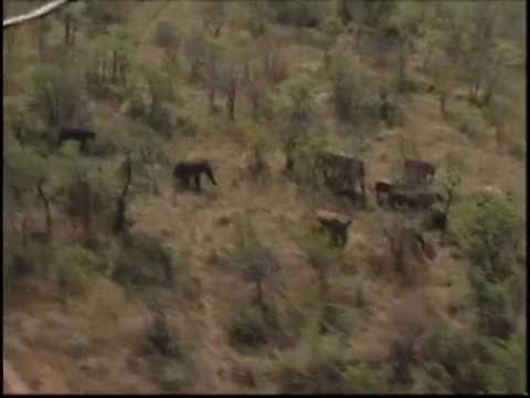 In die Voetspore van die ou Grotes - Episode 9 - Venda en Gazankulu...