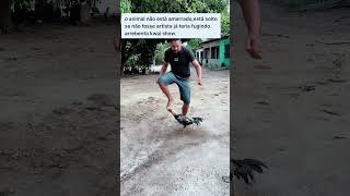 Saruê Chega Fica Animado