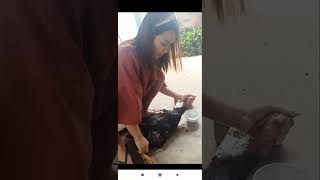 Women Slaughter Chicken
