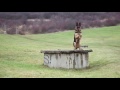 Berge Video preview