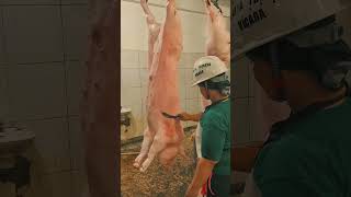 A Day In My Life At Slaughterhouse