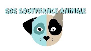 SOS SOUFFRANCE ANIMALE (Documentaire)