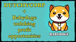 Dutchycorp How To Earn Babydoge Coin Efficiently