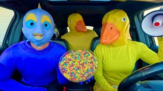 Rubber Ducky Surprises Puppy, Frog & Police In Car Ride Chase