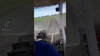 Mey Ferguson 265S Tava Makinası