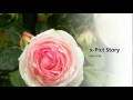 x Pict Story HD