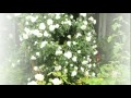 x Pict Story HD