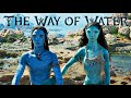 Lo'ak & Tsireya - The Way of Water