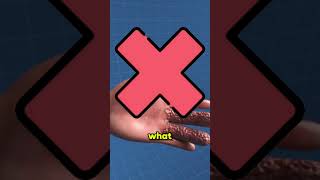 Why Do Your Fingers Get Wrinkly In Water?