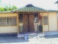 guadua