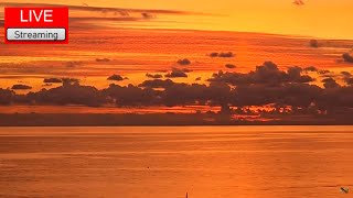 Livestream Sunset At The Beach With Amazing Colors Themegaspotter