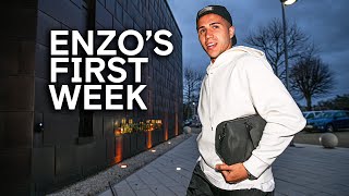 ENZO'S FIRST WEEK AS A BLUE! 🔵