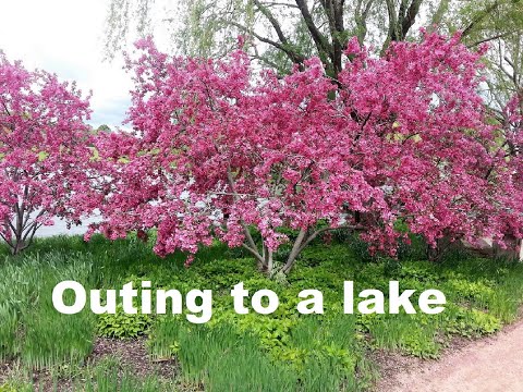 Outing to a lake for fresh air/Relaxation/Beauty of nature. #Outing     #Beautyofnature  #nature