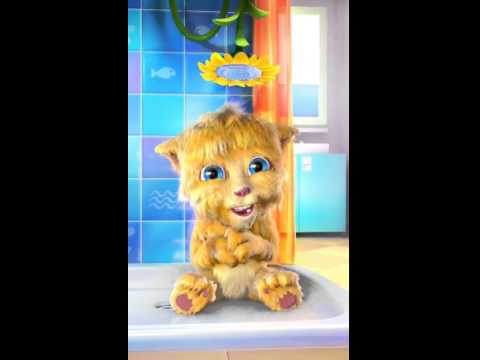 Gato Fofo Kjkj Gato Fofo Kjkj
