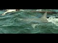 Uss Indianapolis Men Of Courage Exclusive Clip images Uss Indianapolis Men Of Courage Exclusive Clip