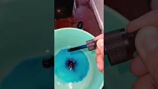 Lỗi Khi Trị Bệnh Cho Cá Thường Gặp