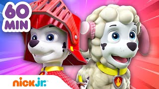 Paw Patrol 1 Uur Lang Verkleden Met Marshall Nickel Jr. Nederland