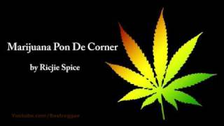 Watch Richie Spice Marijuana video