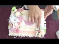 Shabby Chic Baby Shower Guest Book for Tara Ashley Peterson-Age