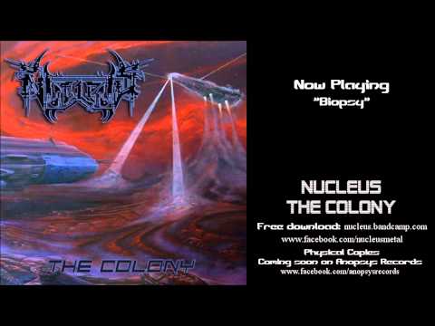 The Colony Video