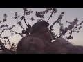 Rafael Lechowski - Canción de gratitud (VÍDEO OFICIAL- 2020)