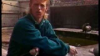 MyJyNYqDXsY Video Image