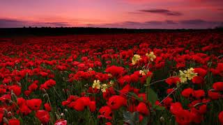 Enigmatic Music Mix 29 Enigmatic Music Mix 29
