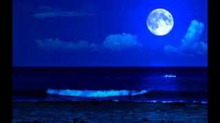Watch Bobby Vinton Blue Moon video