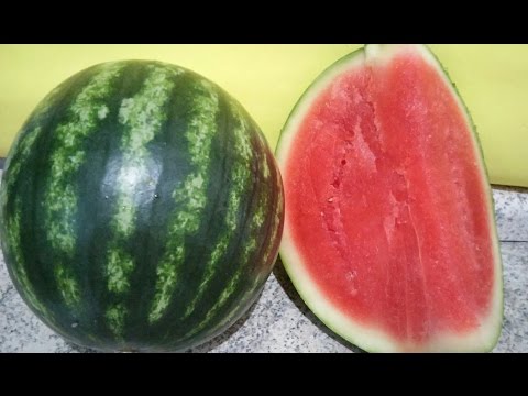CONHEÇA A MINI MELANCIA. MUITO MAIS SABOROSA E NUTRITIVA.