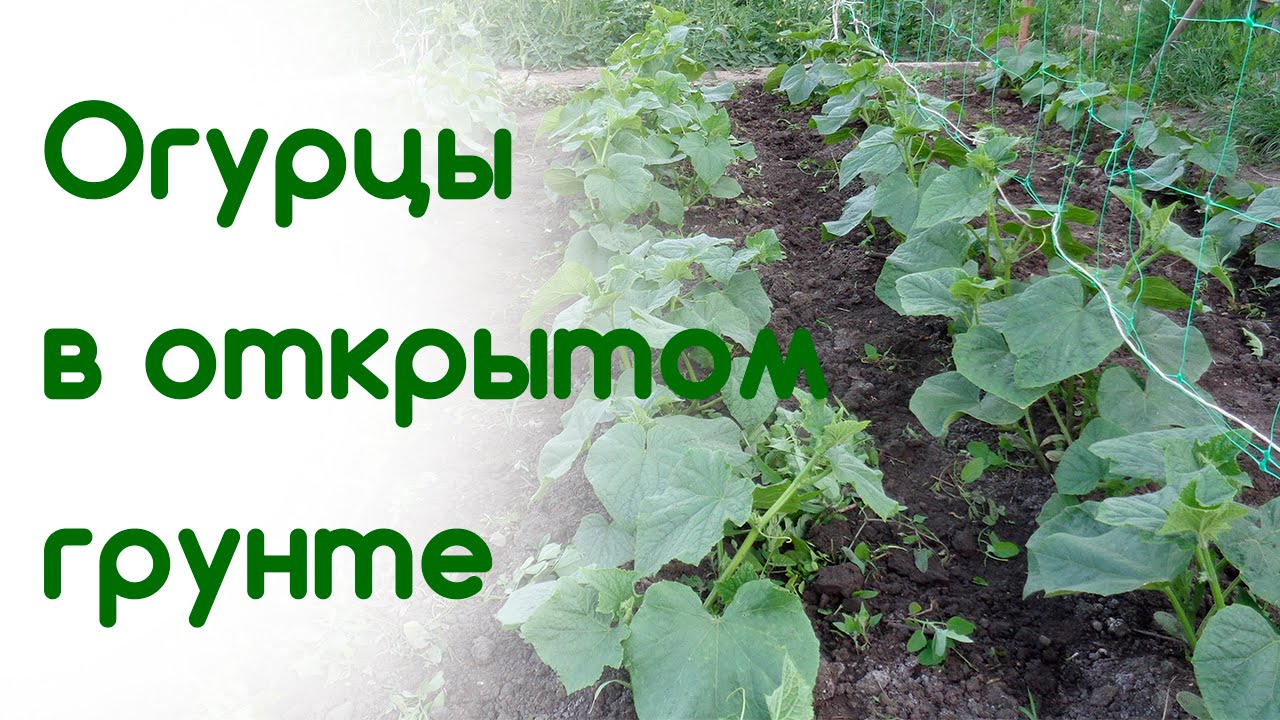 Красивые открытки с комплиментами женщинам 100