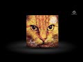 Tapesh & Kant - What I Need EP // Suara