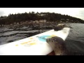 Seal Pup Slip n' Slide (surfboard remote camera)