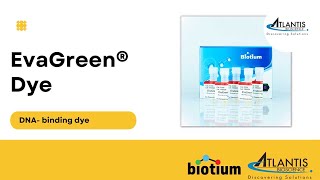 Biotium Evagreen Dye