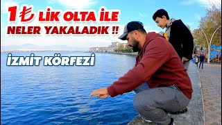 En Ucuz Olta İle Balık Yakalamak Sonunda Kefali De Kandırdık