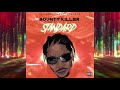 Bounty Killer - Standard (Official Audio)